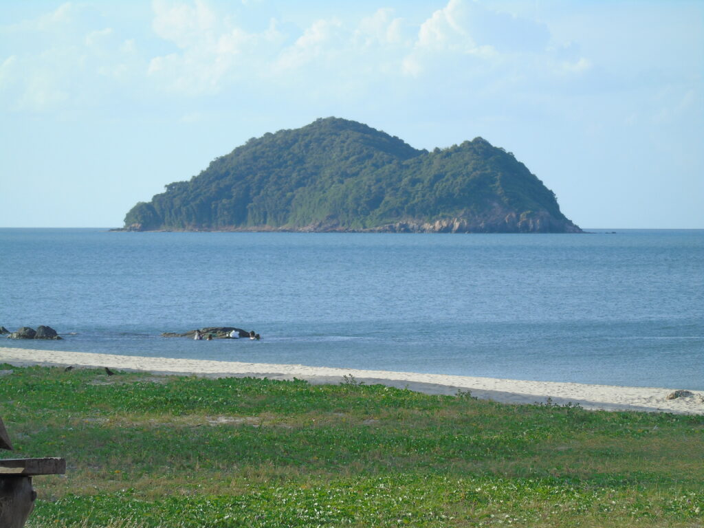 Dsc00984